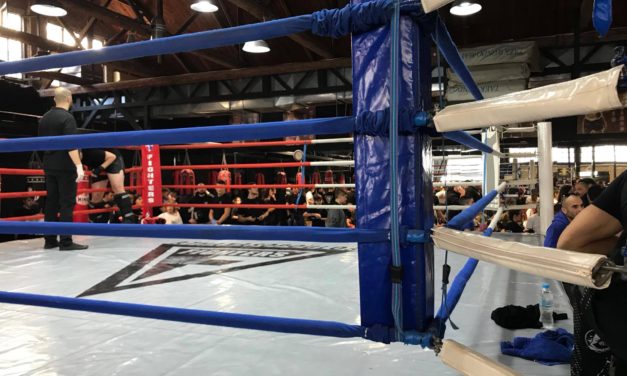 Sparring 12/11/2017 by Fighters Athanasopoulos