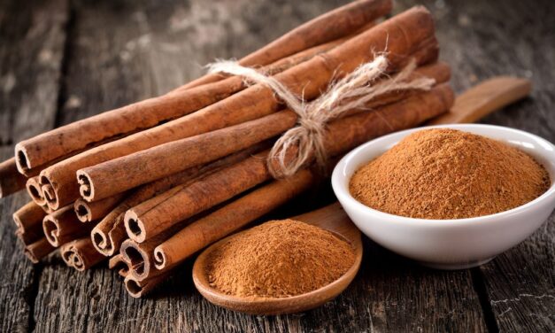 Τα Οφέλη της Κανέλλας στον Οργανισμό μας