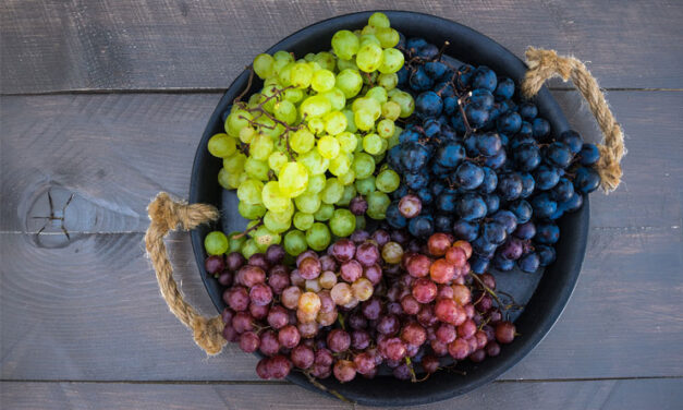 Σταφύλι για Μακροζωία και Αποτοξίνωση