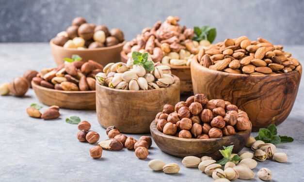 Ξηροί Καρποί Σόγιας | Ποια είναι τα Σημαντικά Οφέλη για την Υγεία μας